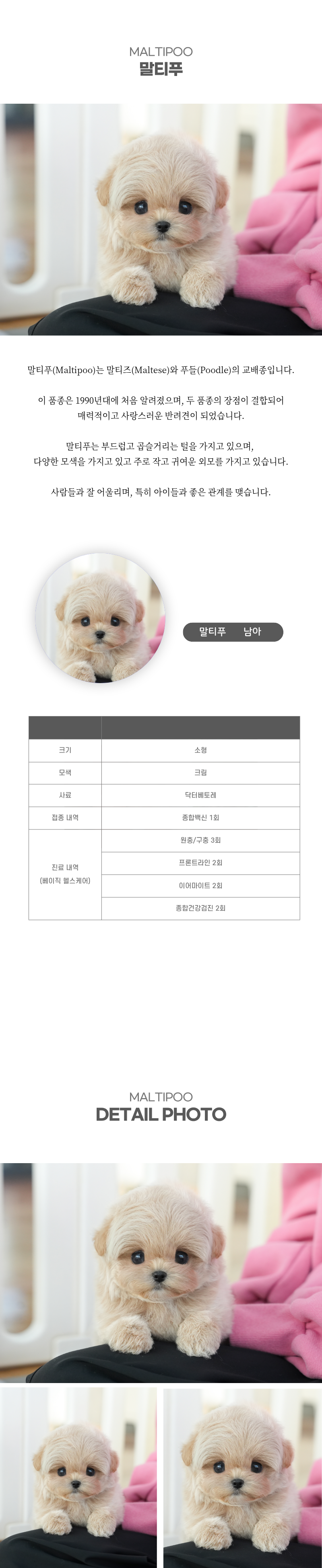말티푸_상세이미지_2